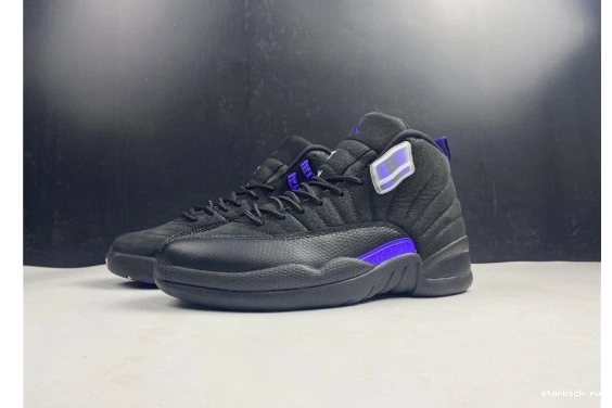 Black Dark Jordan CT8013-005 Air 12 Retro CT8013-005 Concord 0126